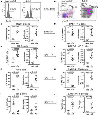 LT-K63 Enhances B Cell Activation and Survival Factors in Neonatal Mice That Translates Into Long-Lived Humoral Immunity